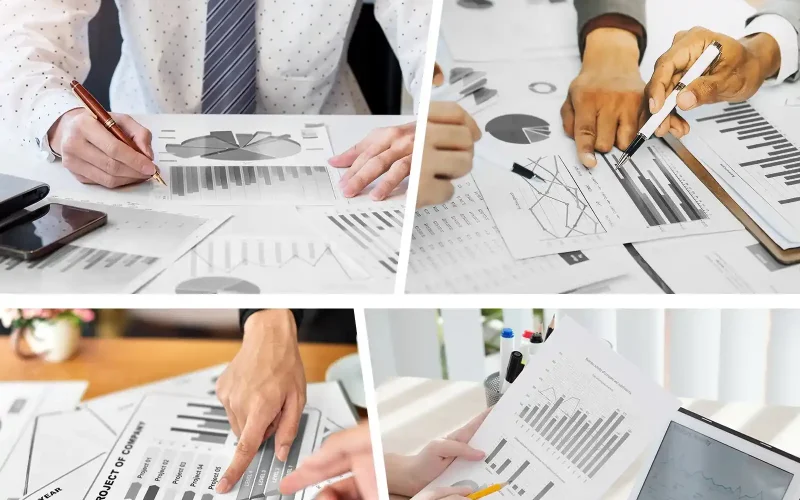 Financial modelling services with charts and reports